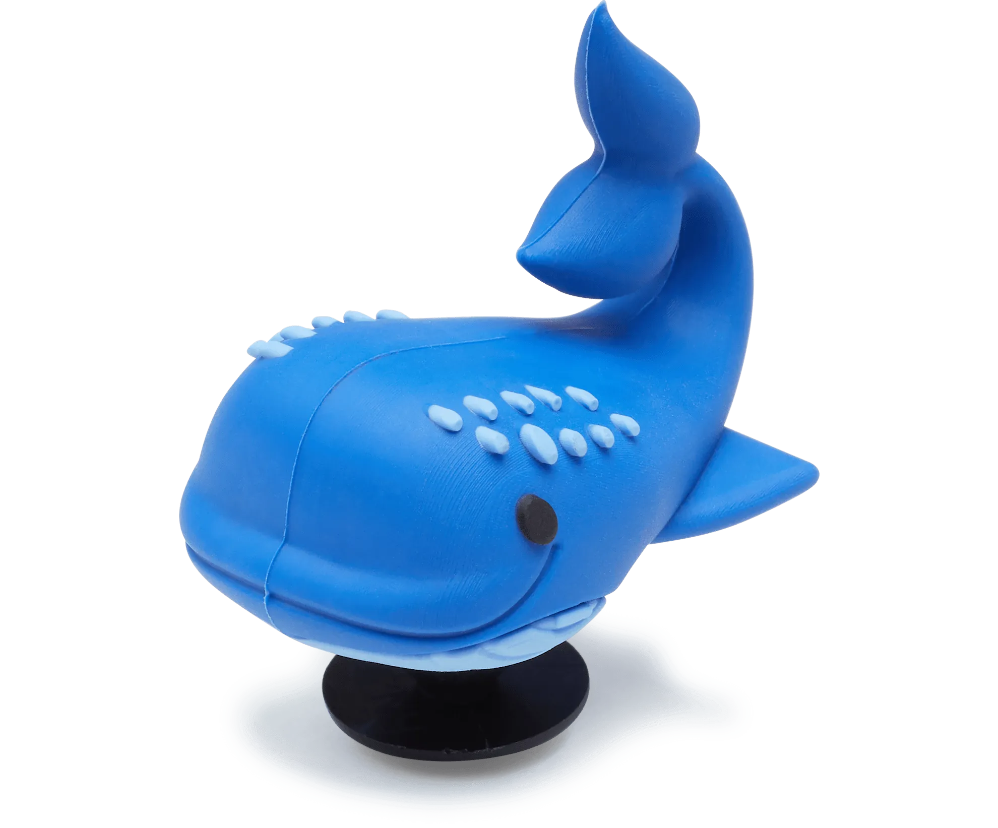 3D Whale