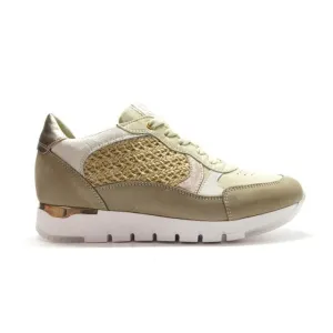 DL Sport 5629