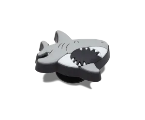Lil Shark